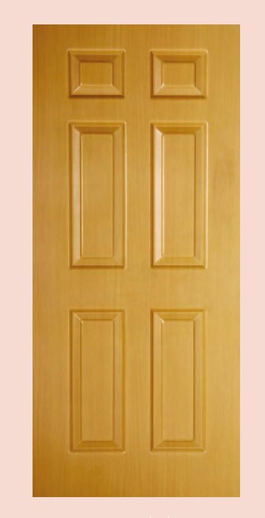 PVC Door