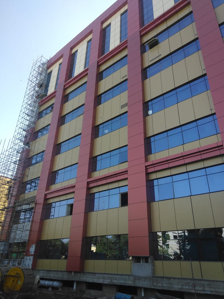 Exceed (6-12-6mm & above) - Blue Berry Plus